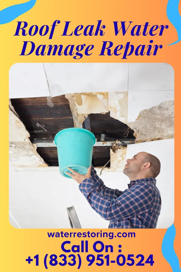 Roof Leak Water Damage Repair in Loda, IL