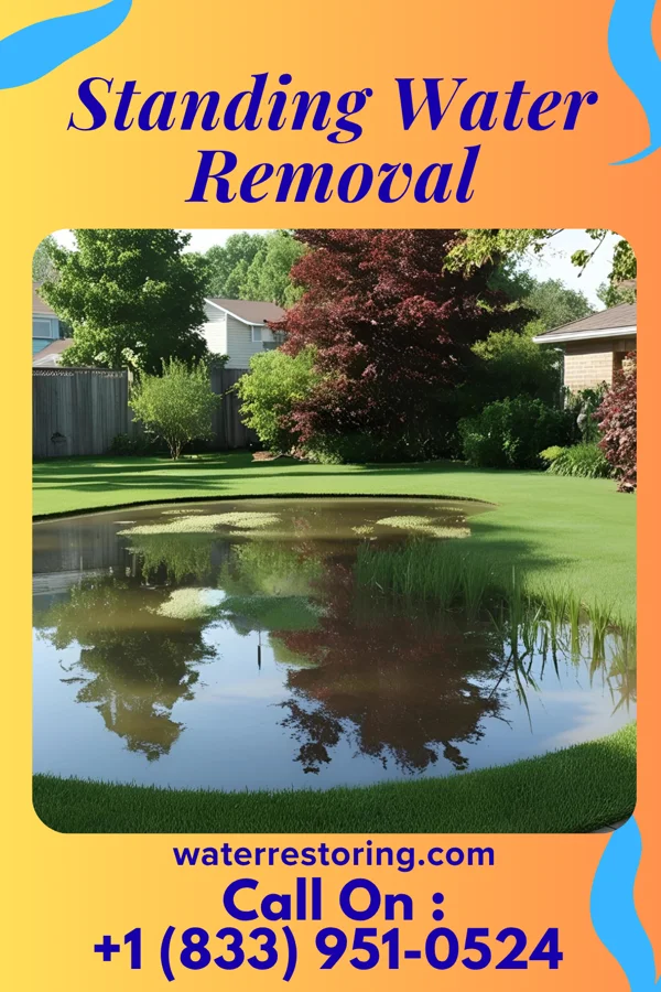 Standing Water Removal in Loda, IL